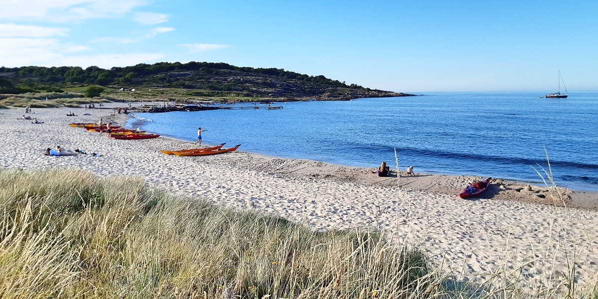 Sandvig