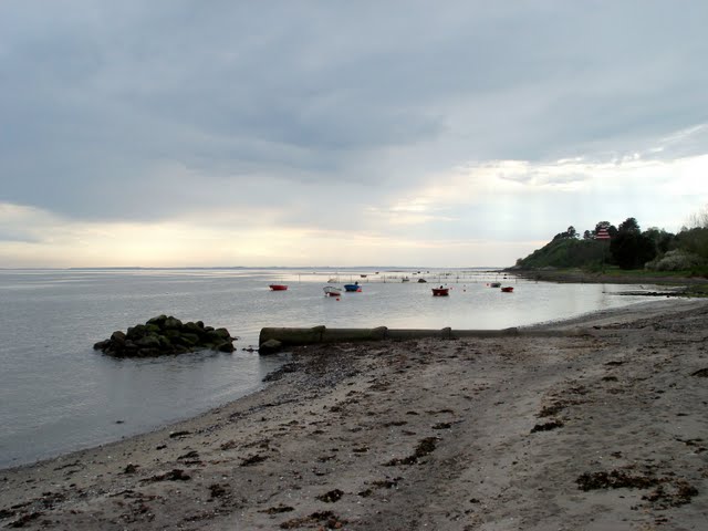 Hjortevej