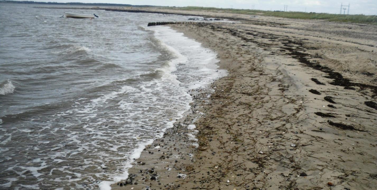 Handbjerg Strand