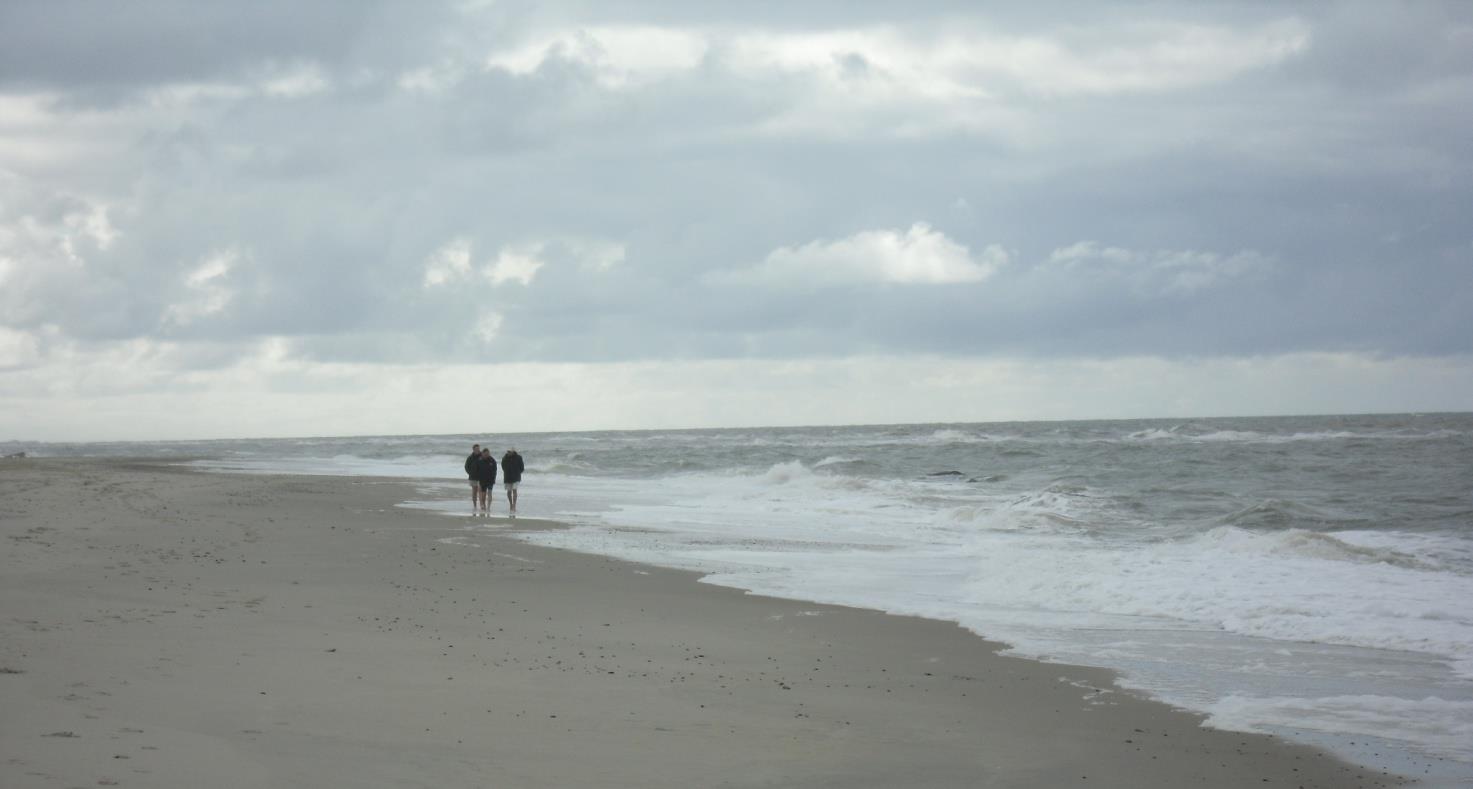 Vesterhavet Spidsbjerg