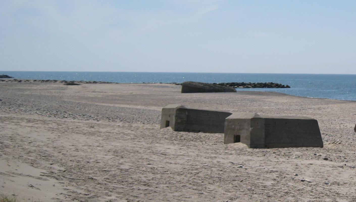 Langerhuse