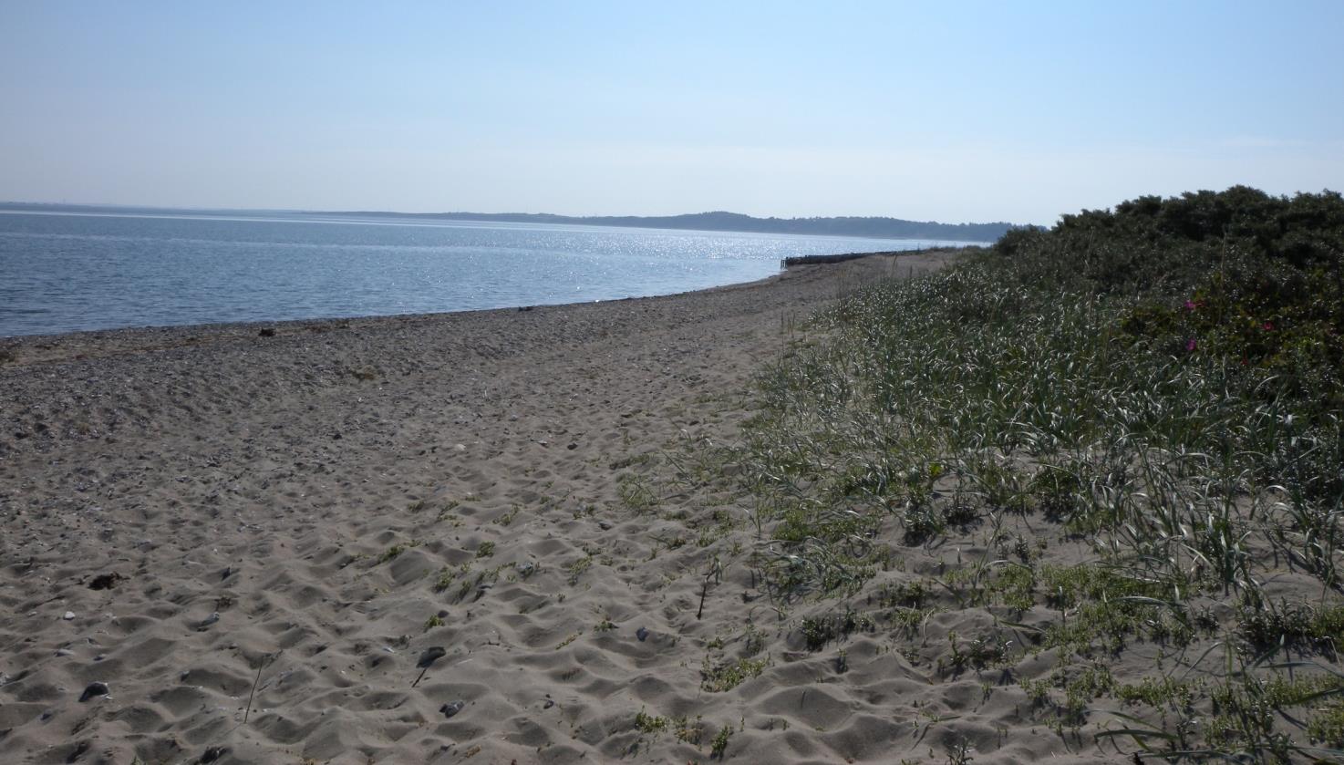 Remmerstrand