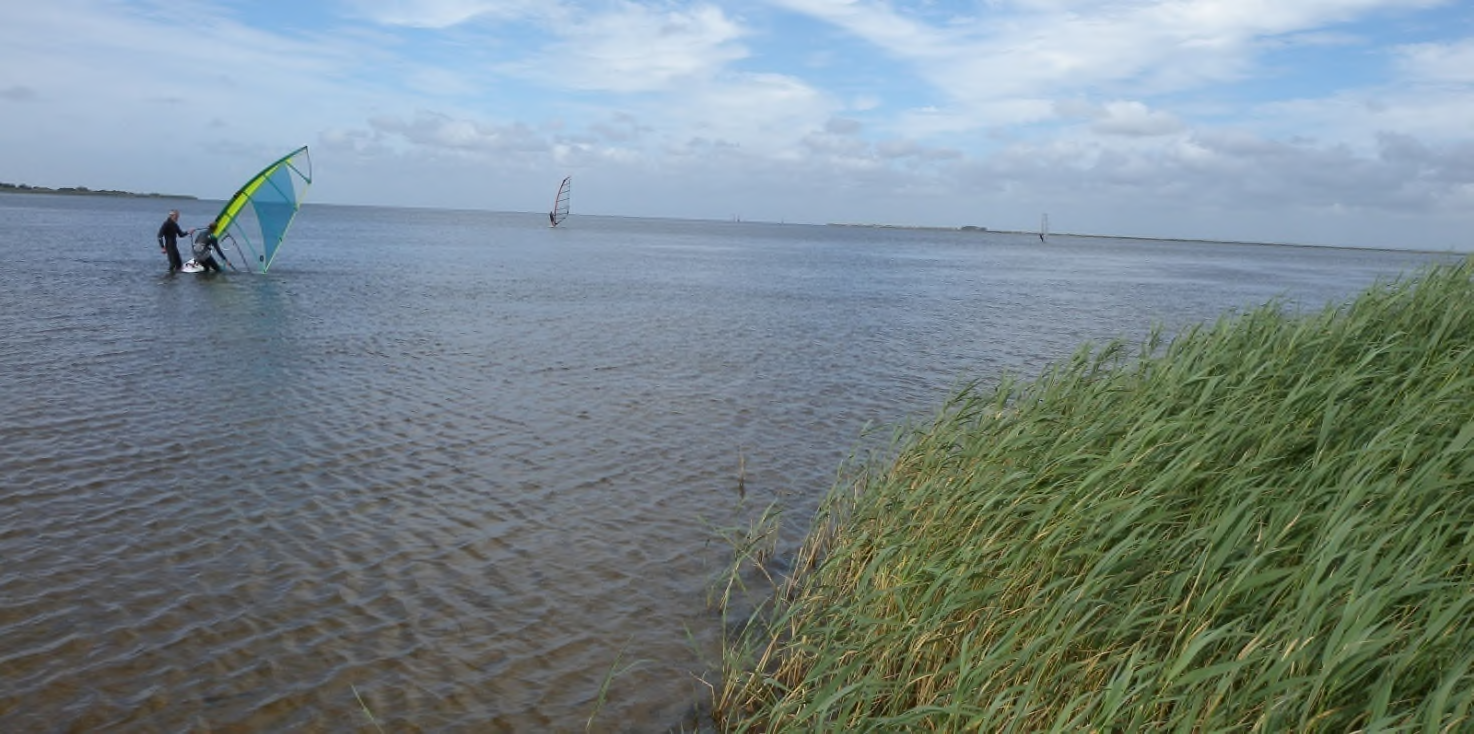 Bjerregård (Ringkøbing Fjord sydvest)