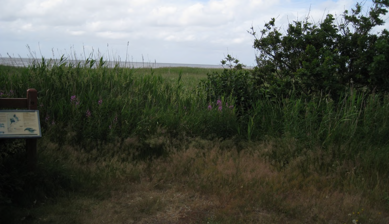 Halby strand Nord