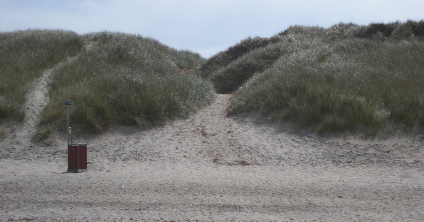 Husby Klit (Odbjerg Strand)