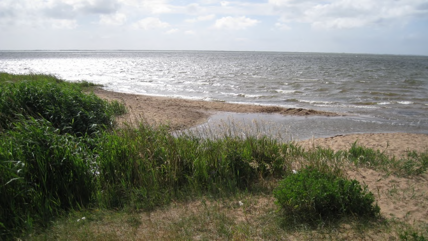 Skuldbøl strand