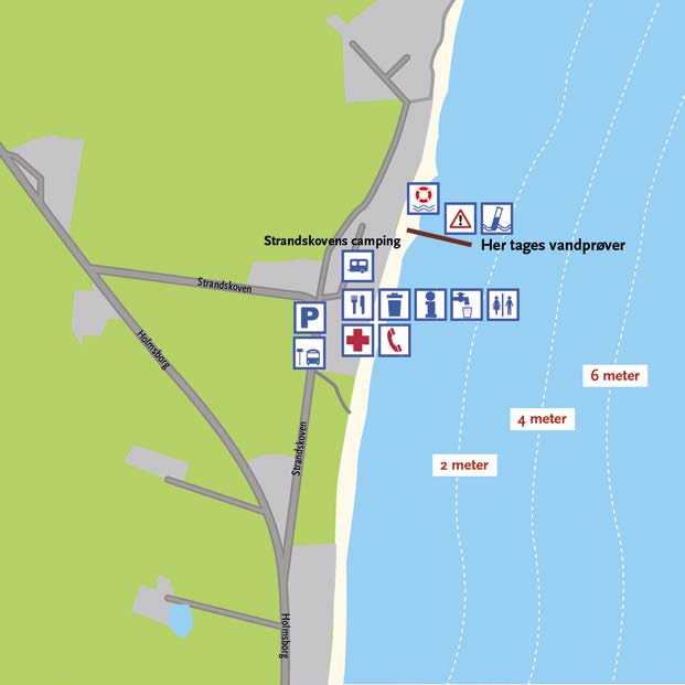 Strandskoven ud for campingplads