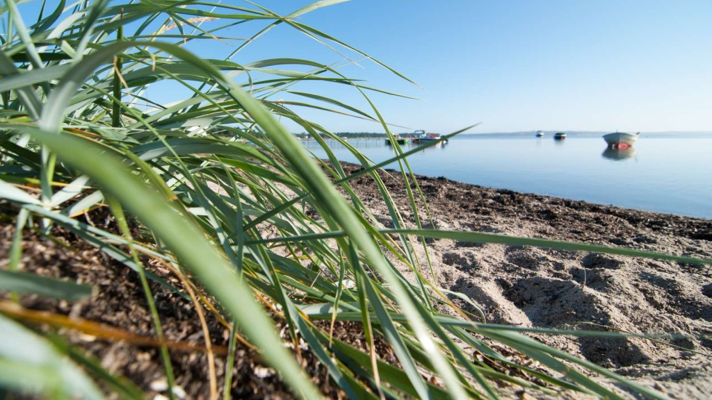 Færker Odde Strand