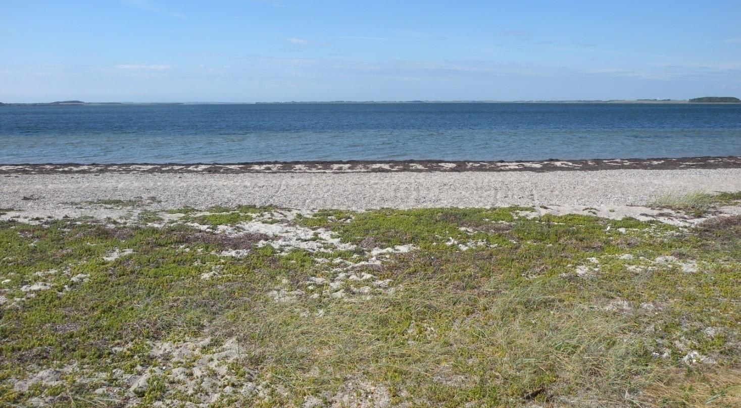 Bøløre odde