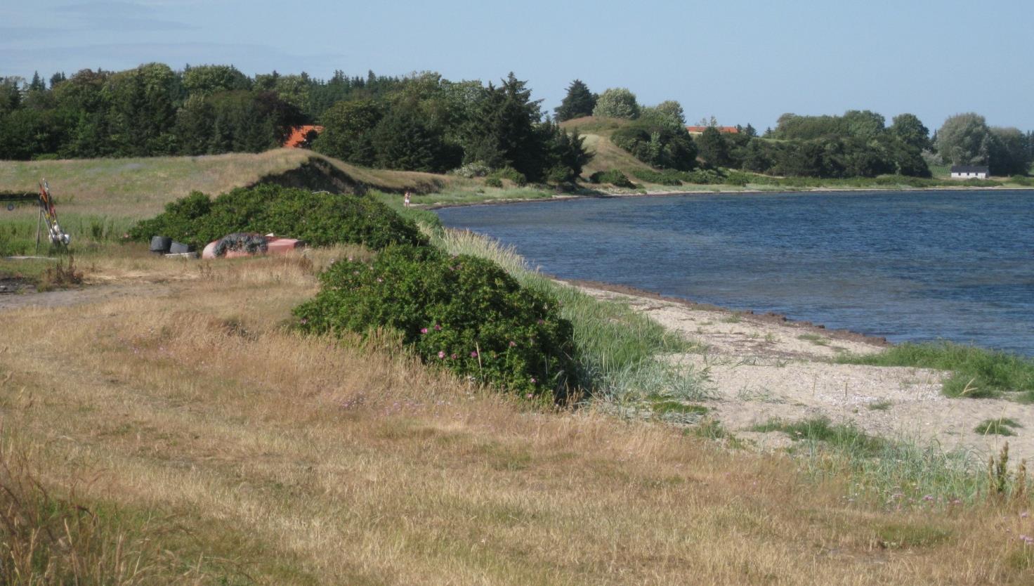 Venø Øst