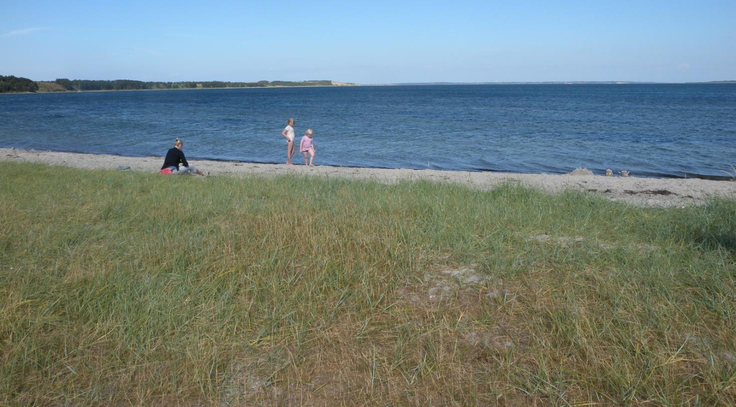 Vigen ved Oddesund