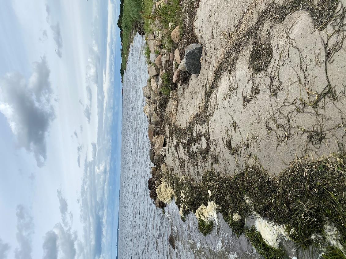 Nibe Camping