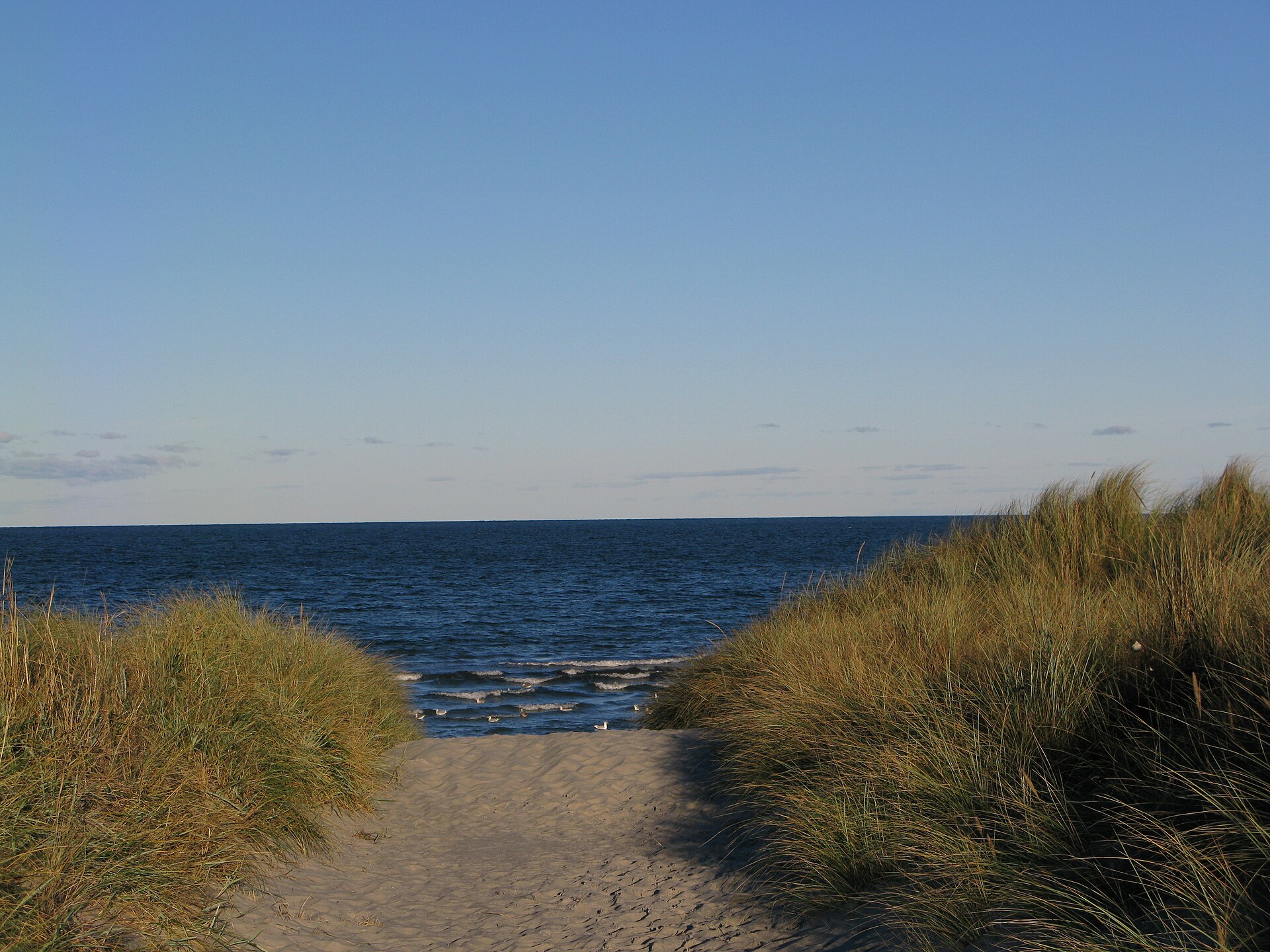 Bratten