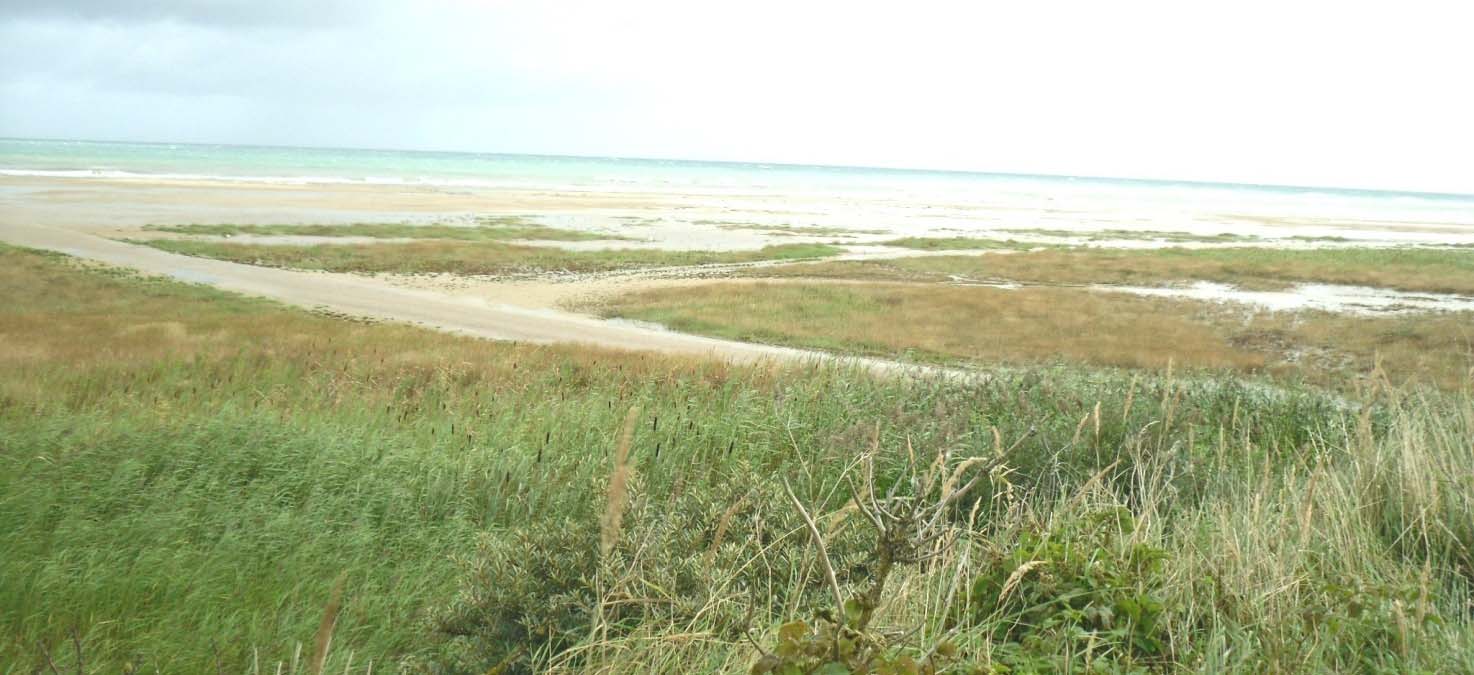 Uggerby Strand