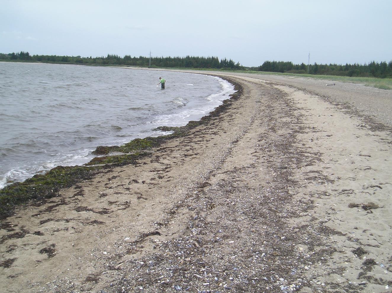 Dragstrup Vig