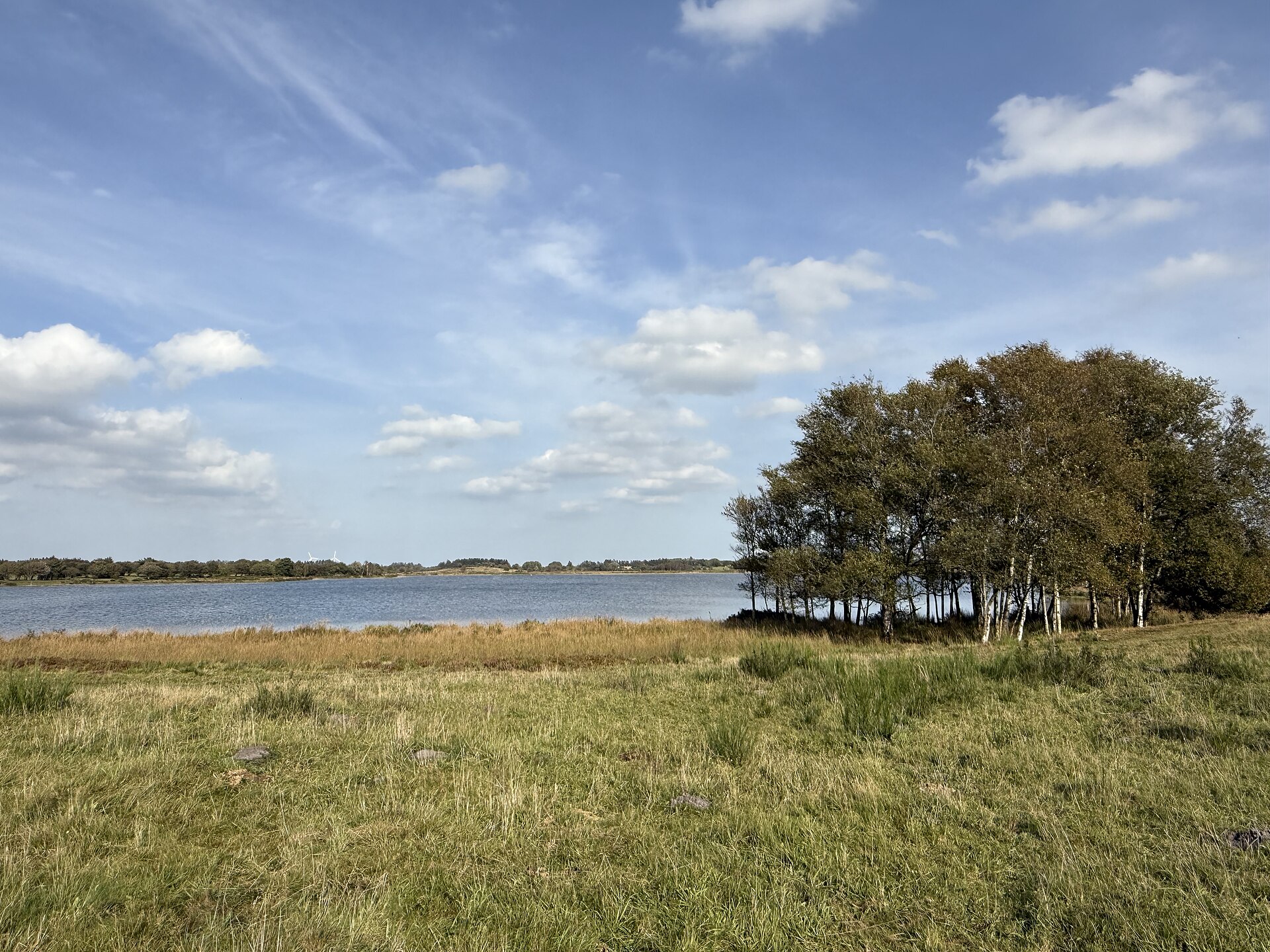 Navnsø