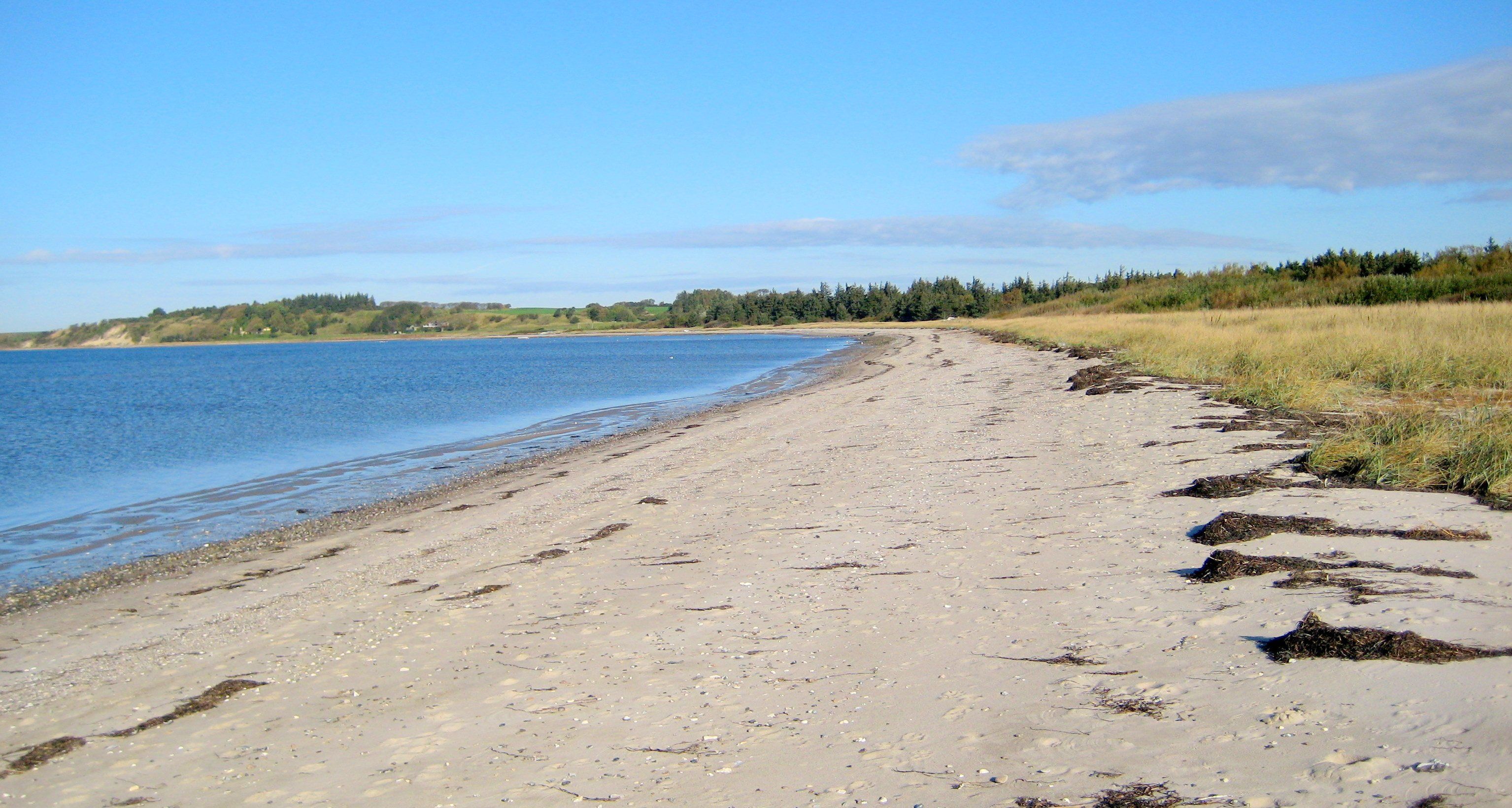 Stistrup Strand
