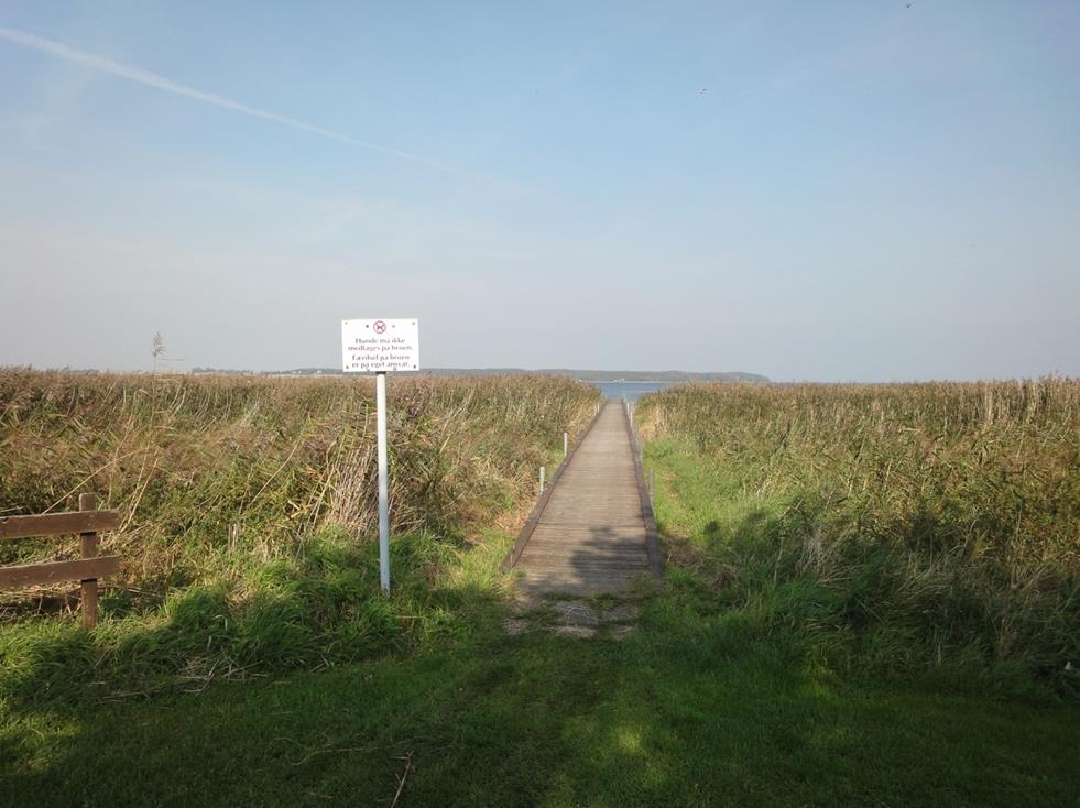 Kisserup Strand