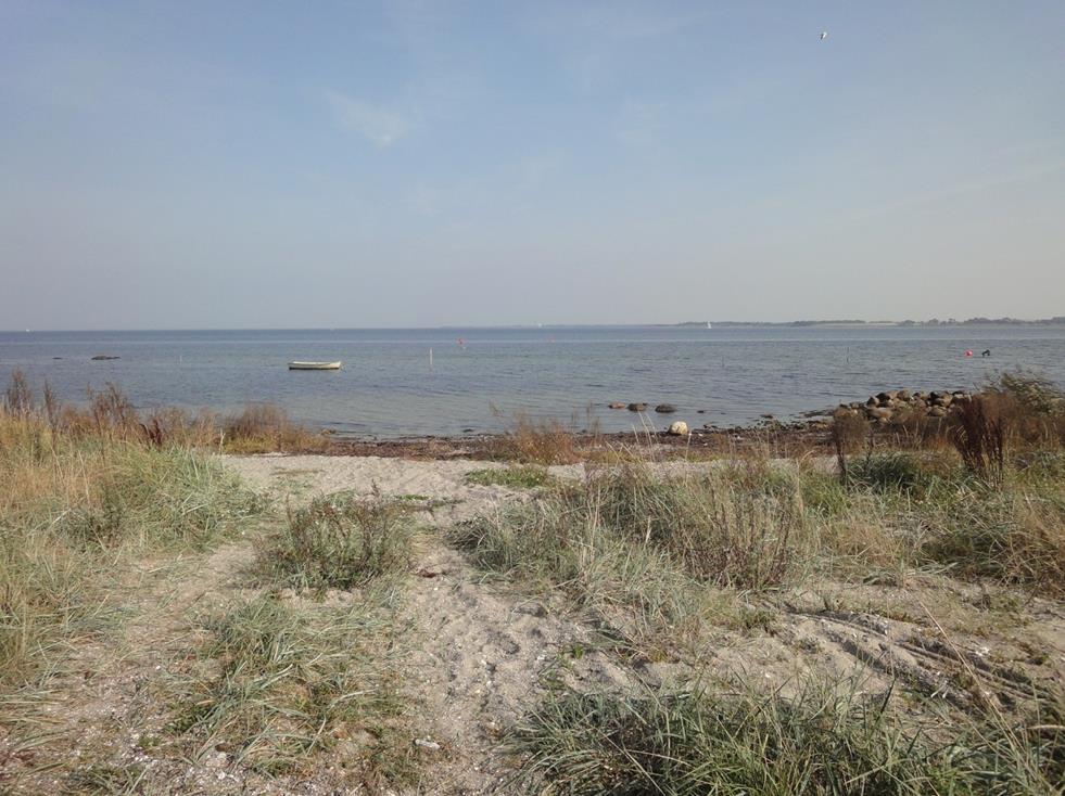 Løserup Strand,nord