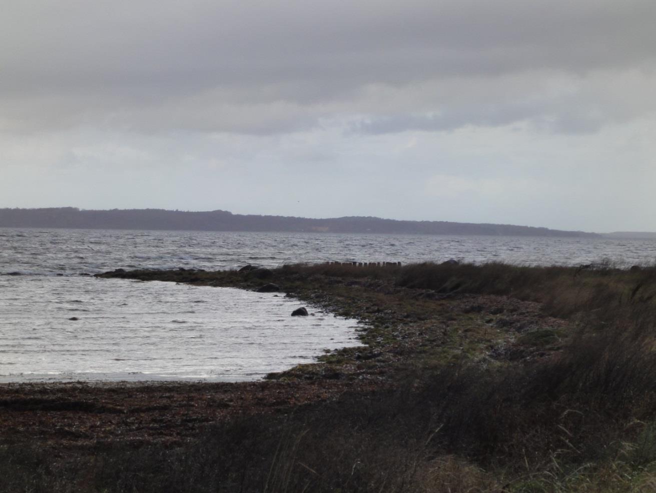 Orø Strand