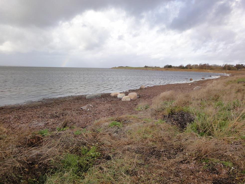 Orøgaard Strand - Salvig Orø
