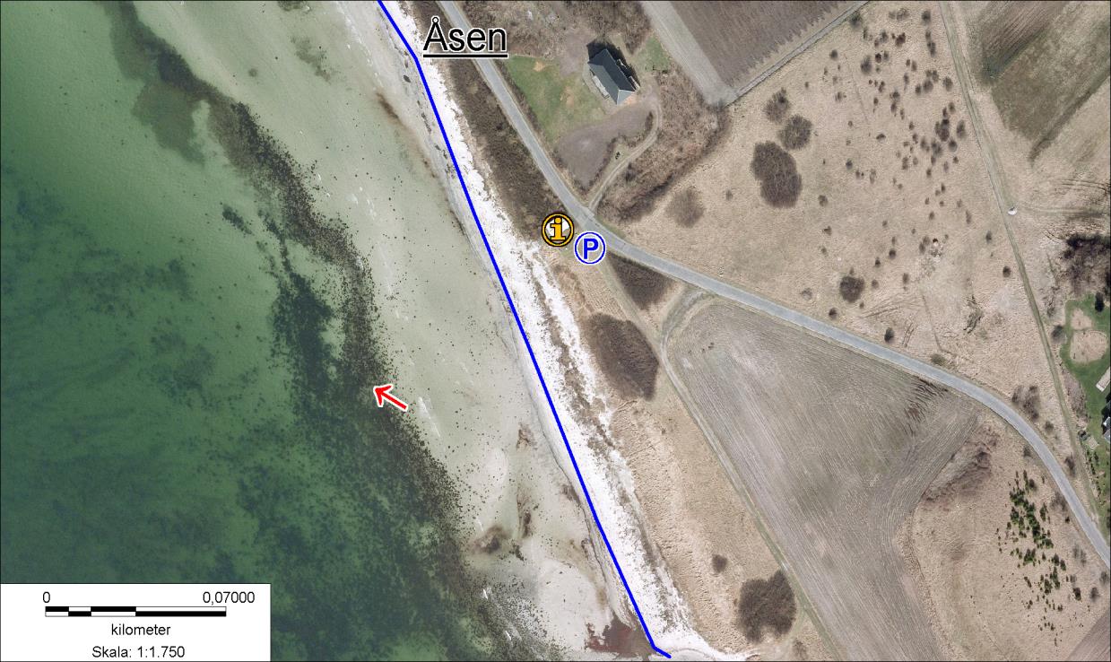 Aasen, Sejerø