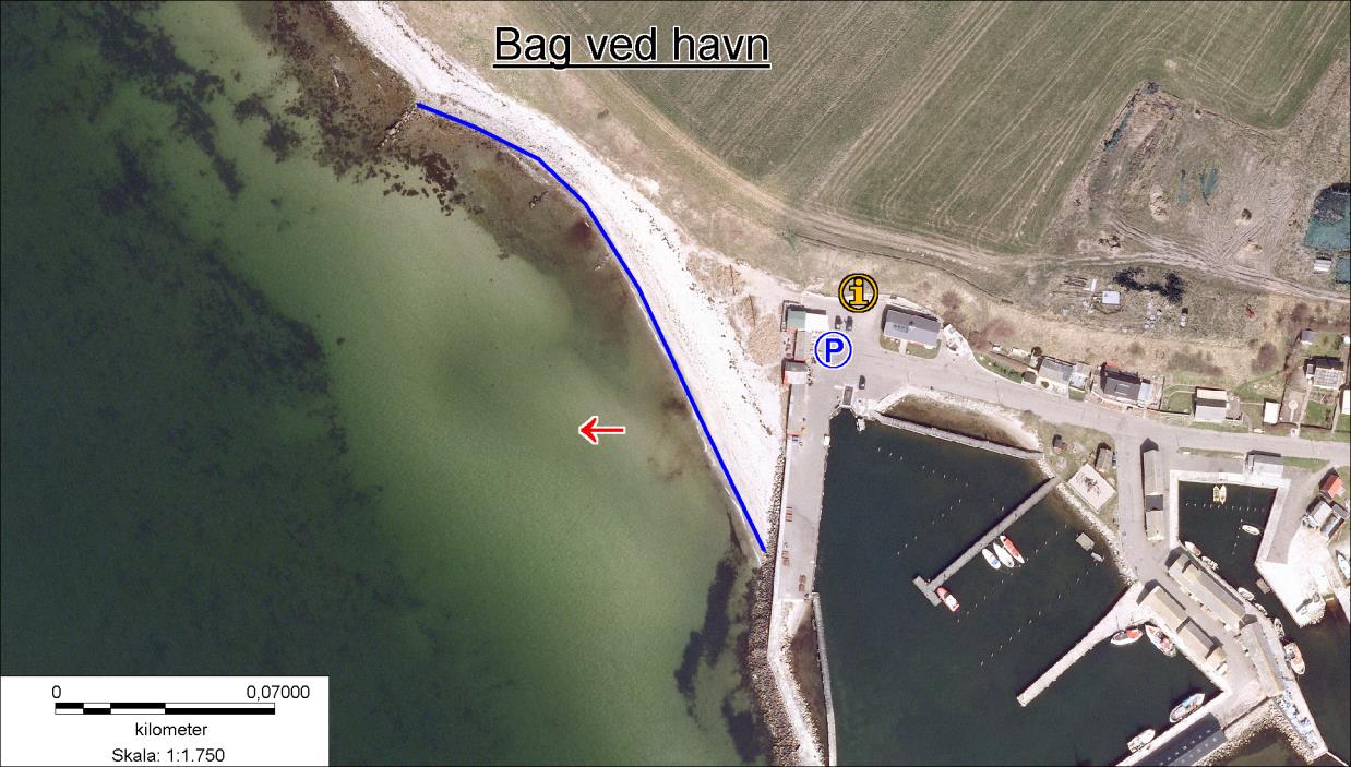 Bag ved havn, Sejerø