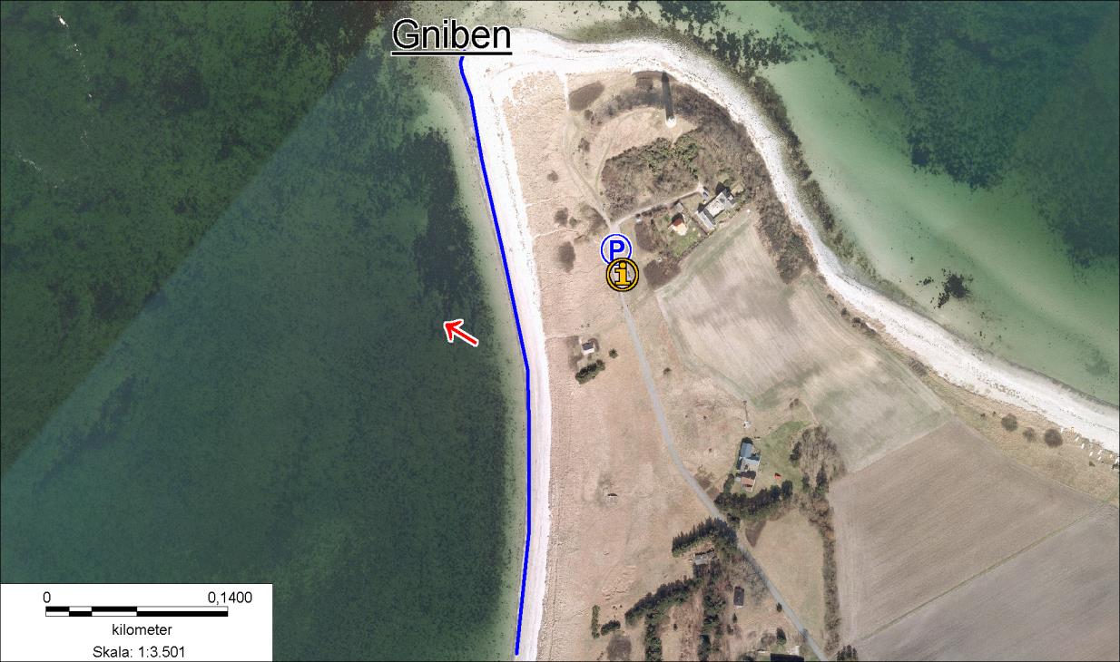 Gniben,Sejerø
