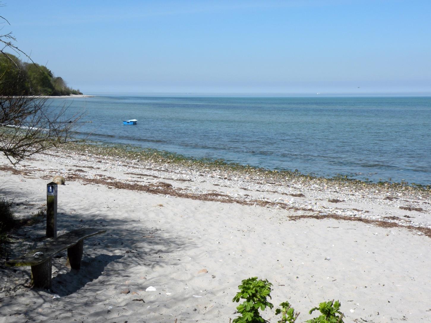 Høve Strand ved skoven