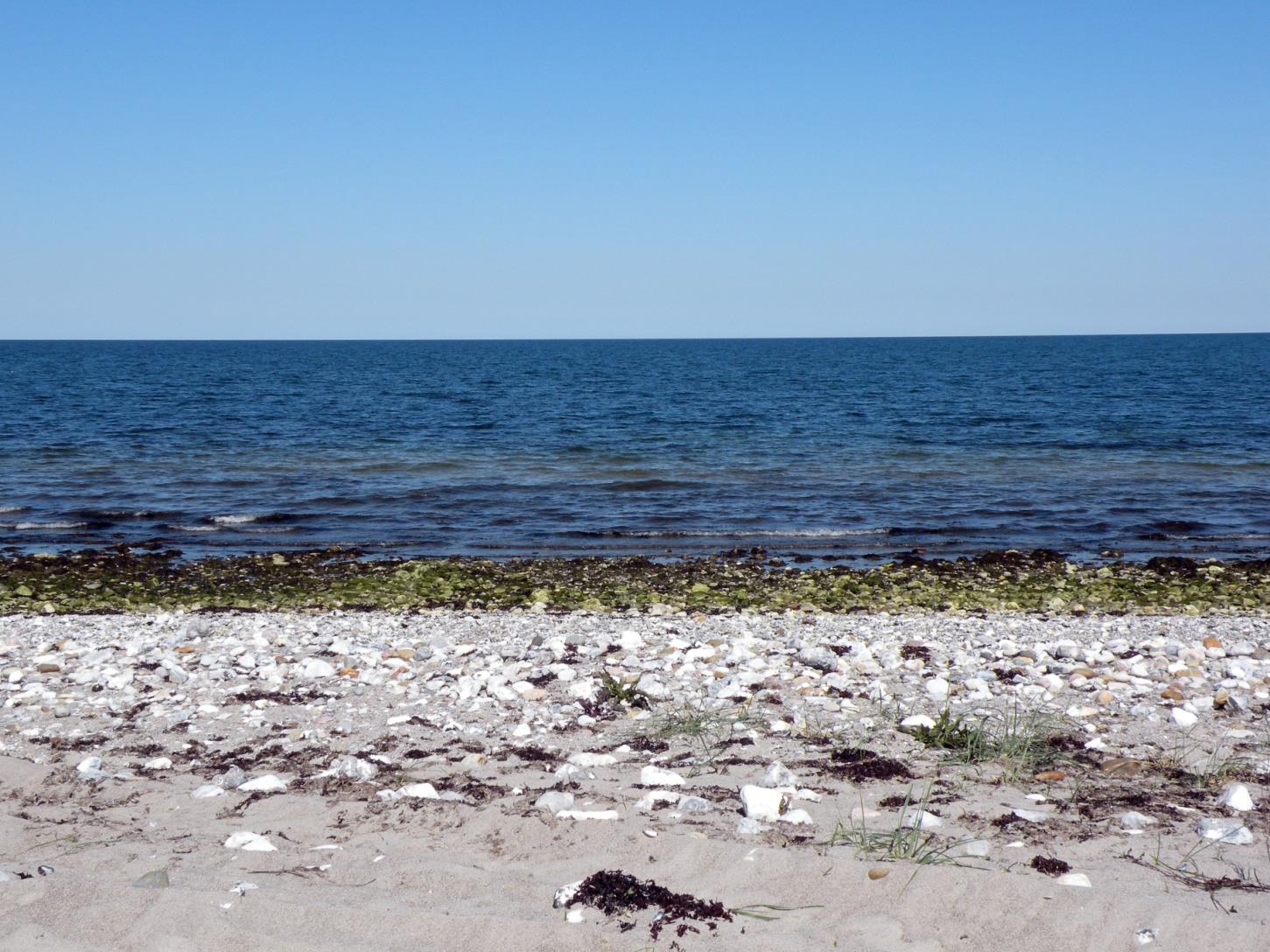 Klintsø Stranden