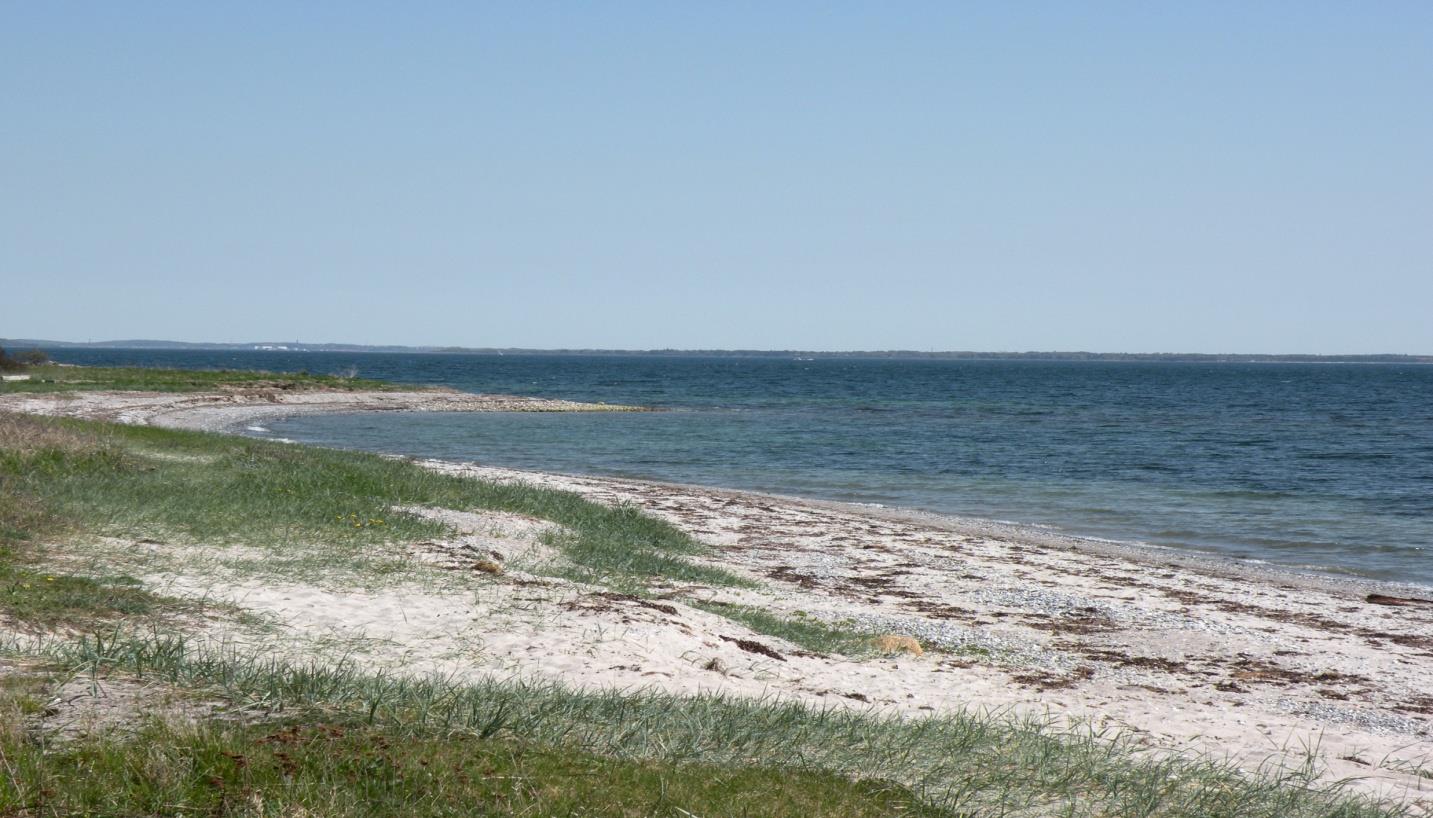 Nakkehage