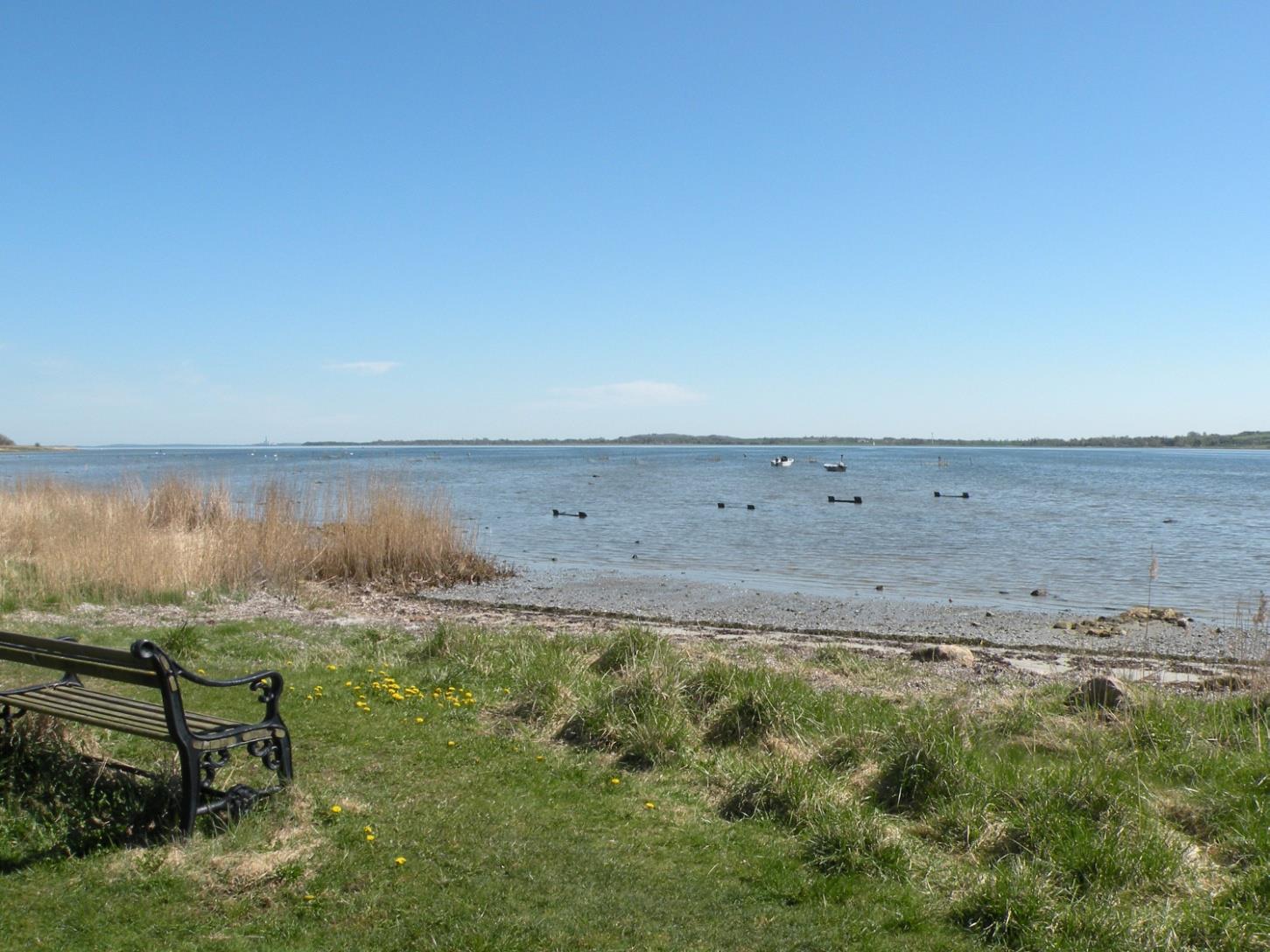 Plejerup Huse