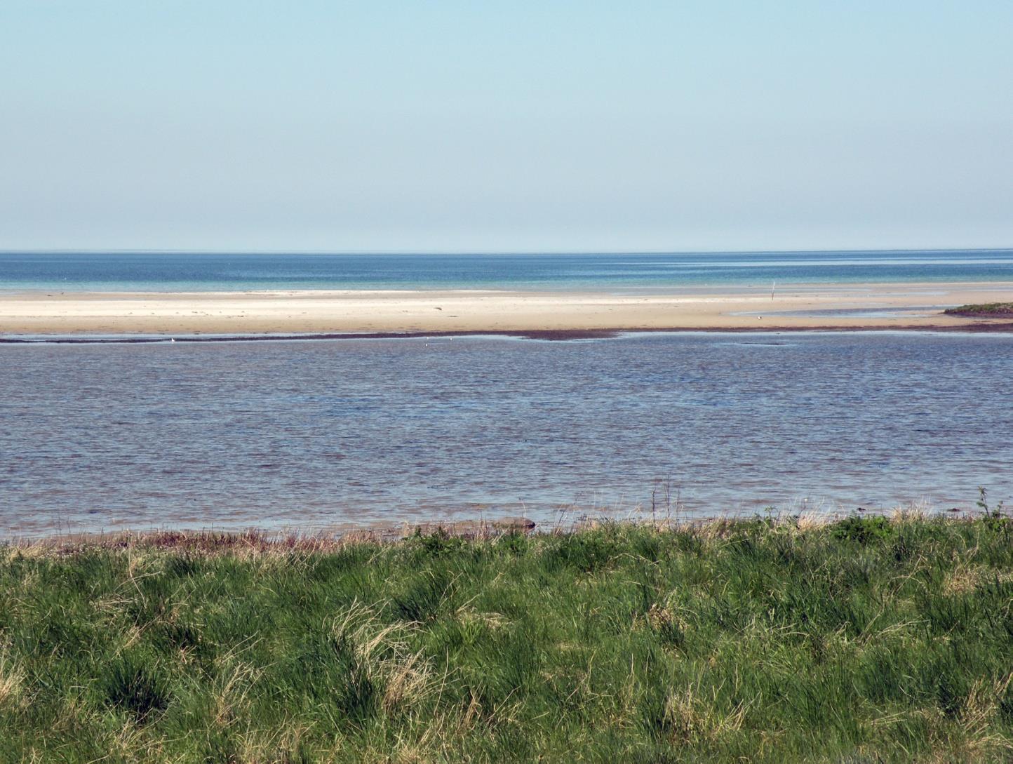 Sanddobberne
