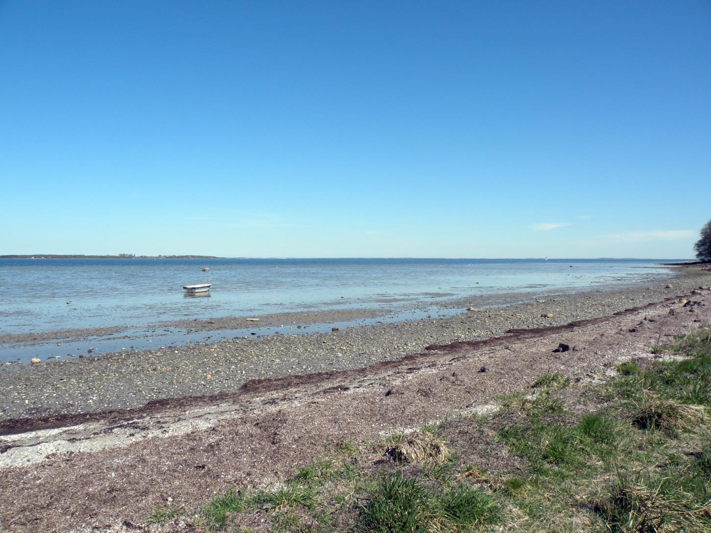 Strandhuse