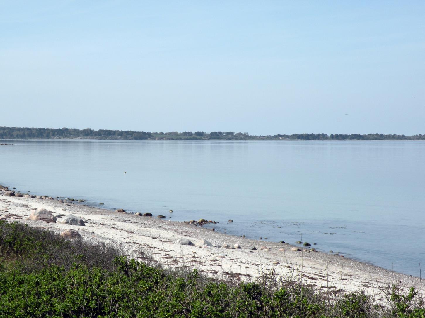 Veddinge Strand