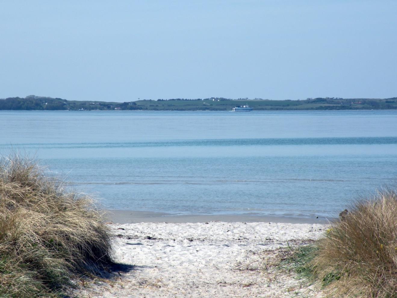 Vraget