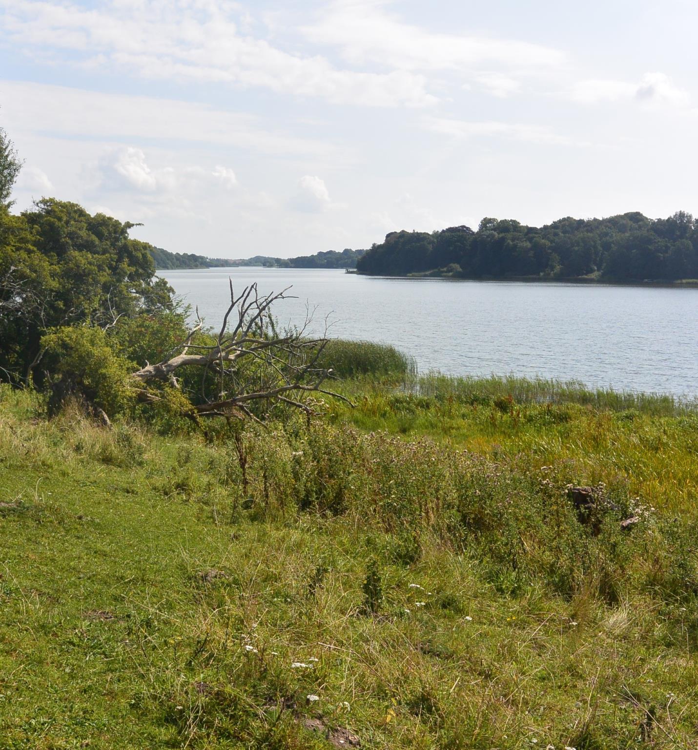 Haraldsted Langesø