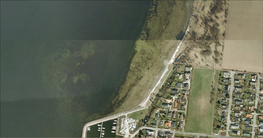 Veddelev