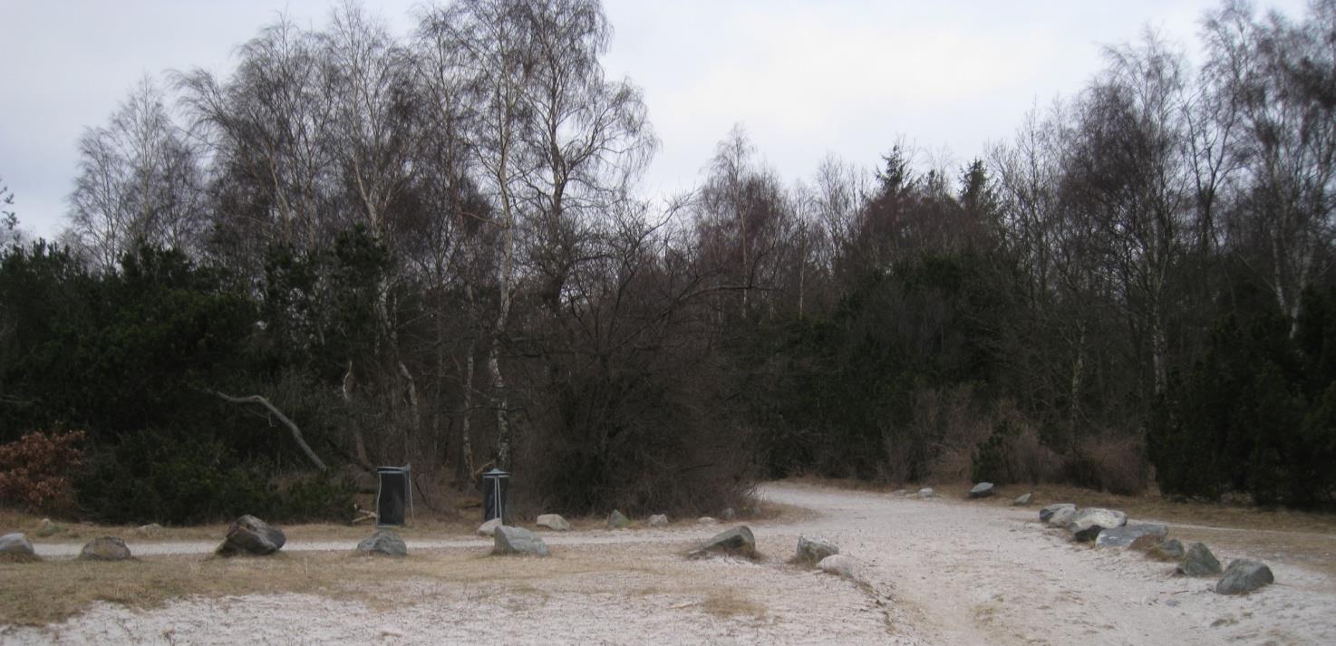 Trylleskoven
