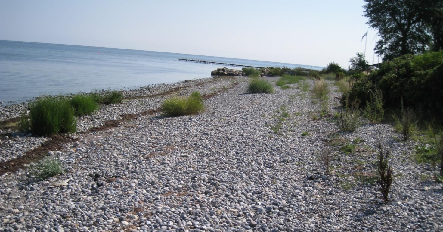 Strøby Egede, Ahornvej