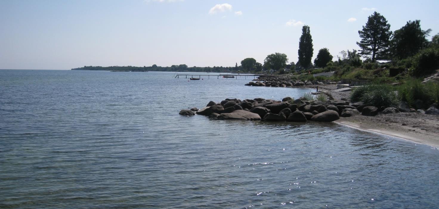 Ved Lunden