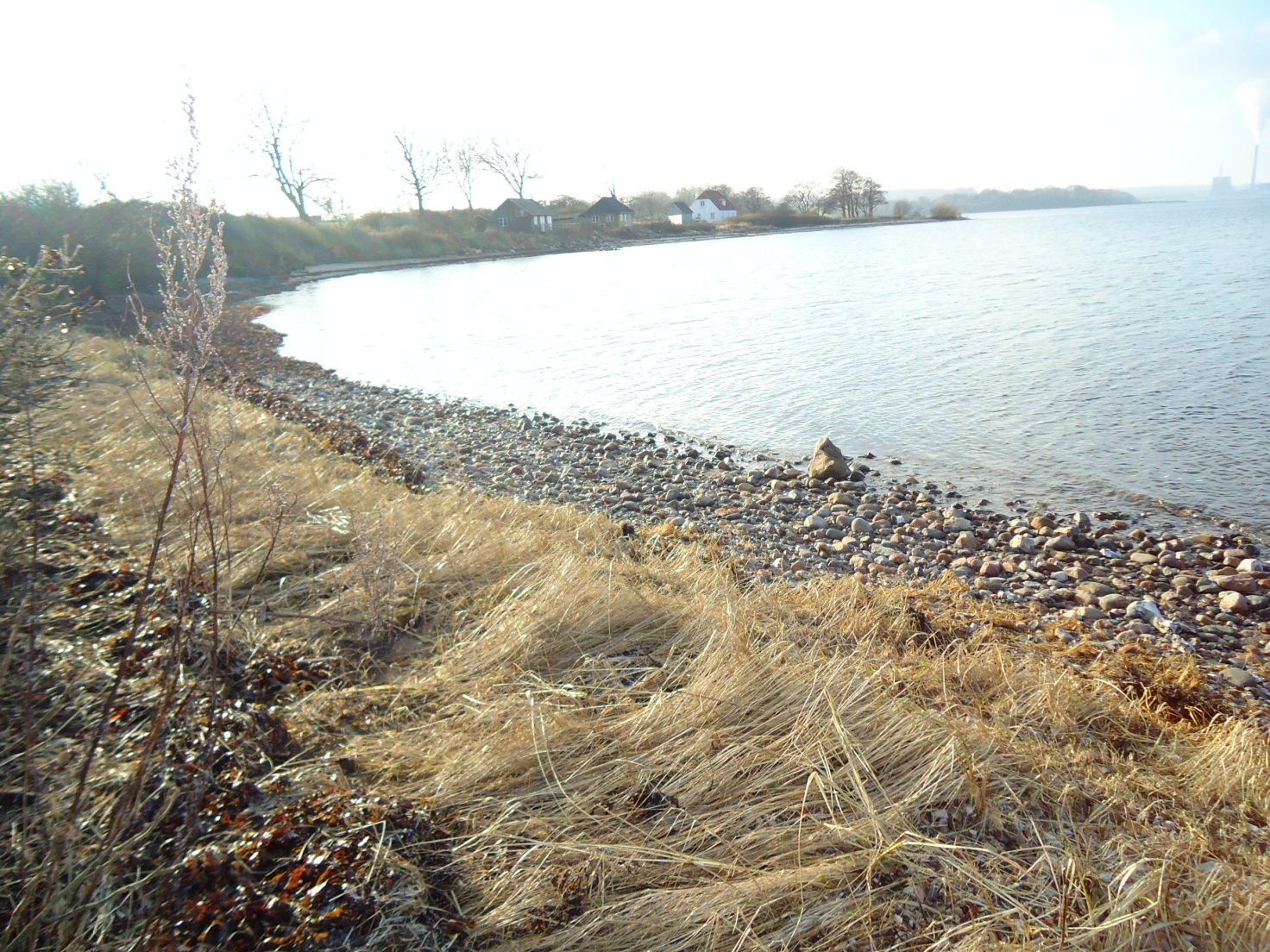 Felstedskov