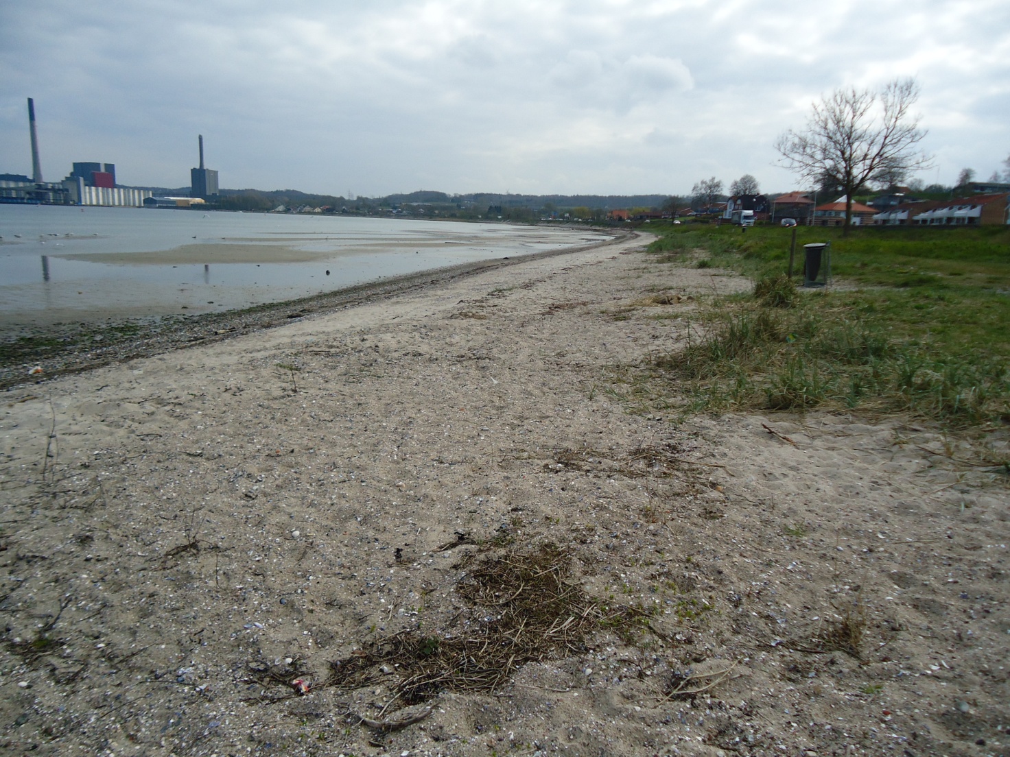 Kallemosen