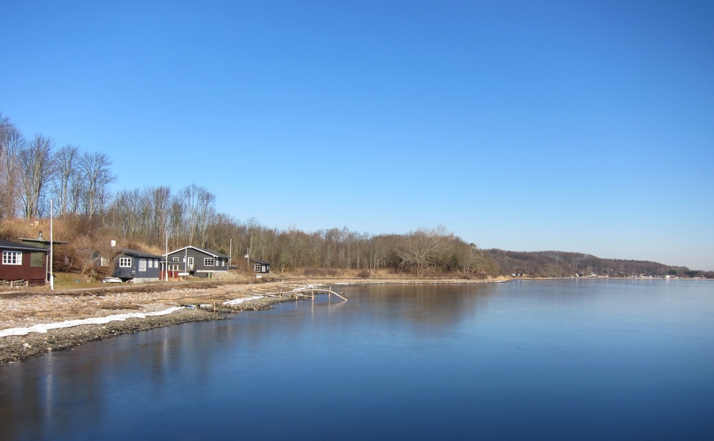 Kalvø