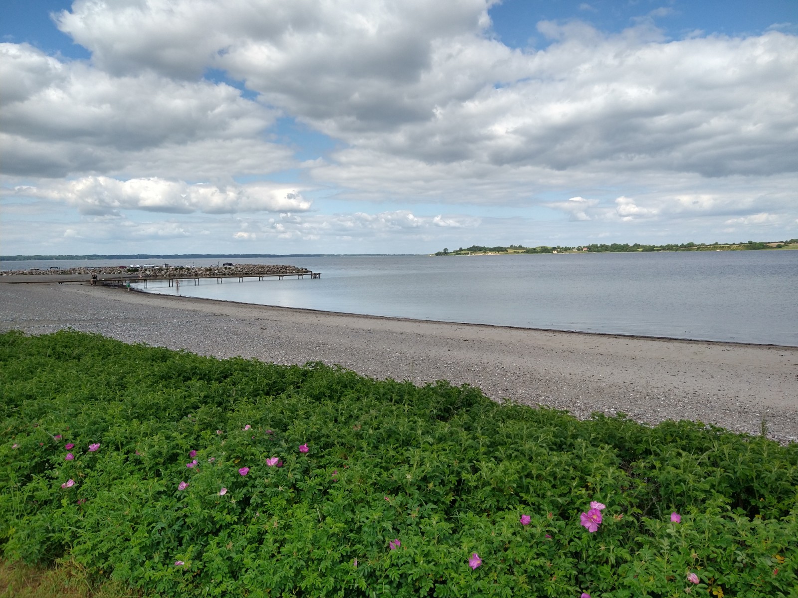 Loddenhøj
