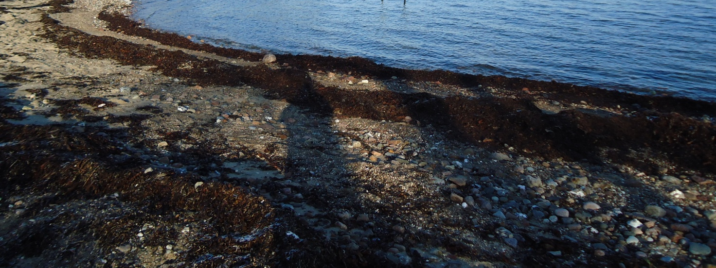 Naldtang
