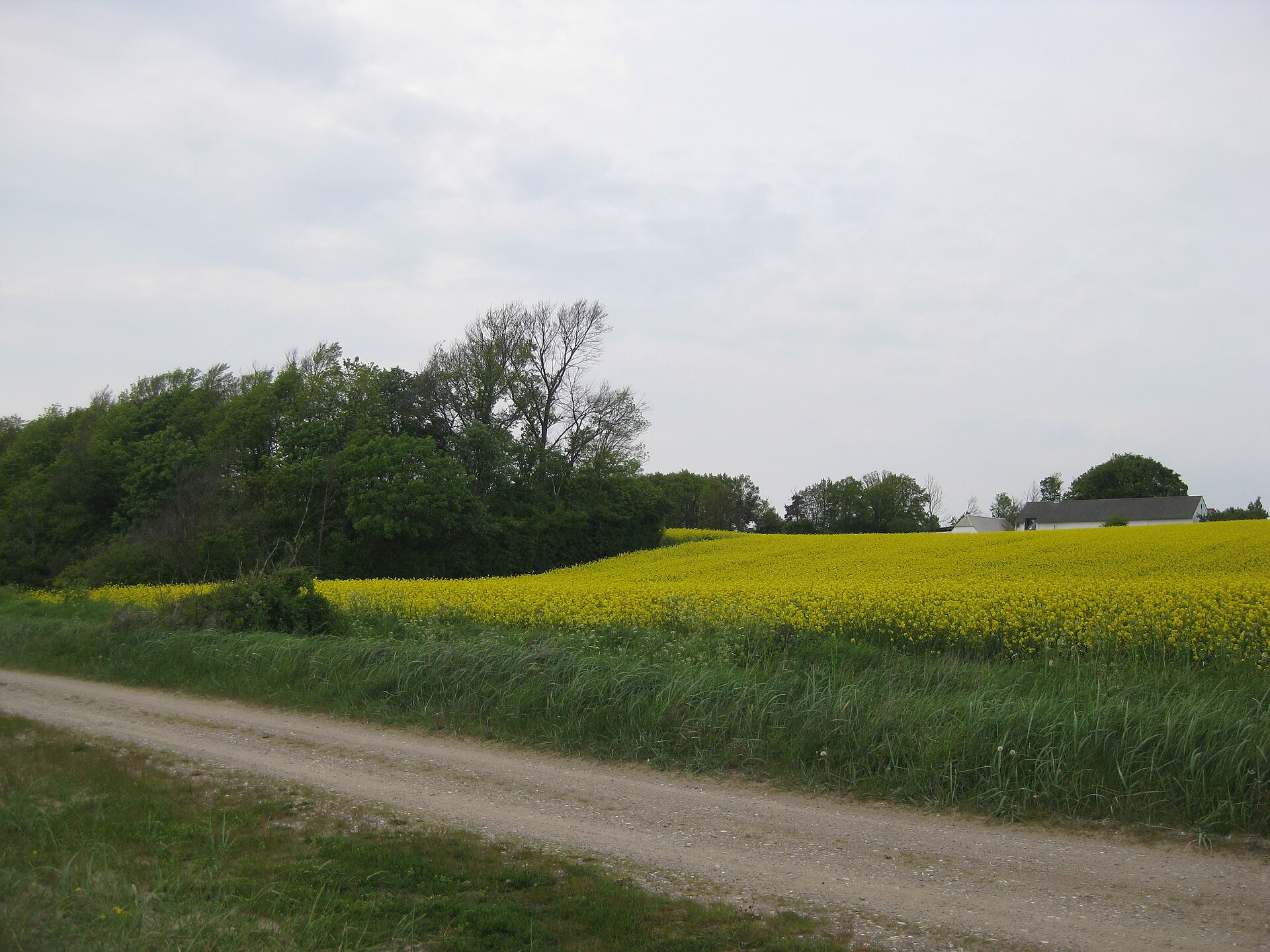 Saltofte Strand