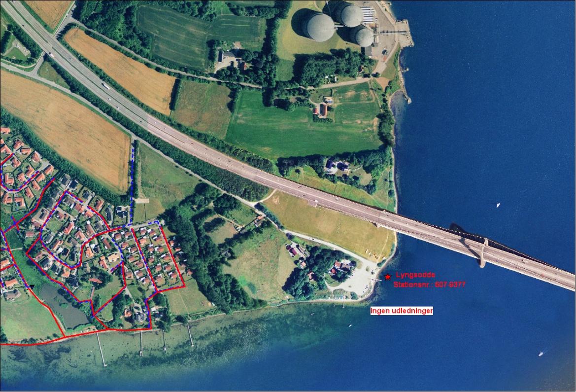 Lyngsodde