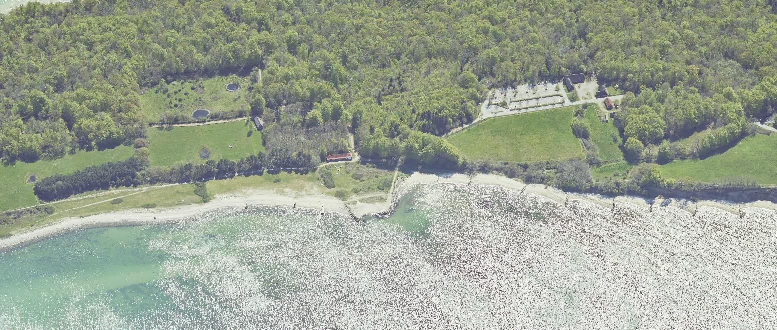 Trelde Næs Strand