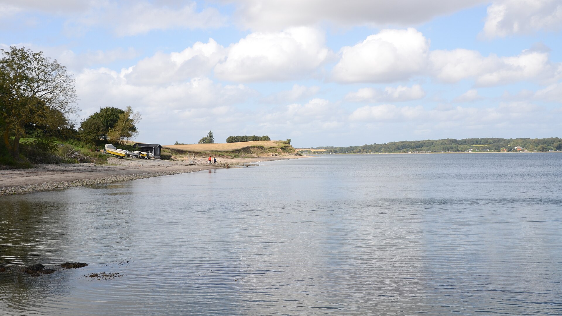 Gåsevig
